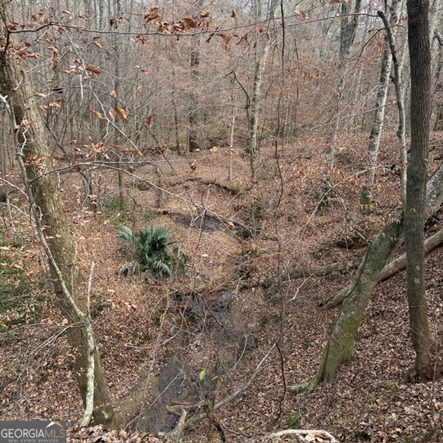 198-acres Dennis Creek Road Talbotton, GA 31827 - Photo 12 of 35 a view of a yard with a tree