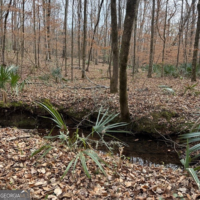 198-acres Dennis Creek Road Talbotton, GA 31827 - Photo 15 of 35 a backyard of a house with lots of green space