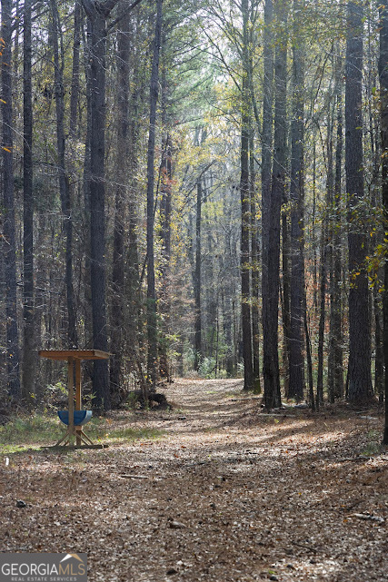 198-acres Dennis Creek Road Talbotton, GA 31827 - Photo 18 of 35 a view of a entrance of the house