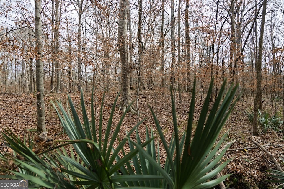 198-acres Dennis Creek Road Talbotton, GA 31827 - Photo 20 of 35 a view of a backyard of the house