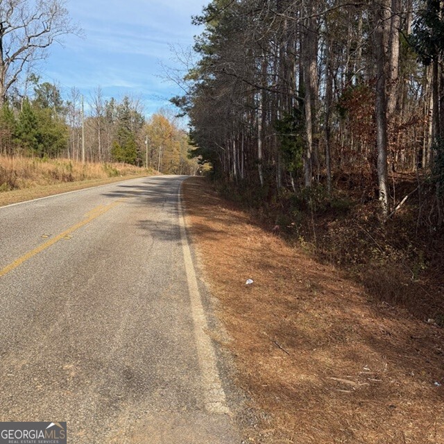 198-acres Dennis Creek Road Talbotton, GA 31827 - Photo 2 of 35 a view of a yard with trees on both side of it
