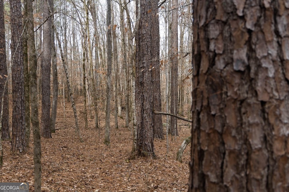 198-acres Dennis Creek Road Talbotton, GA 31827 - Photo 21 of 35 a bathroom with a shower