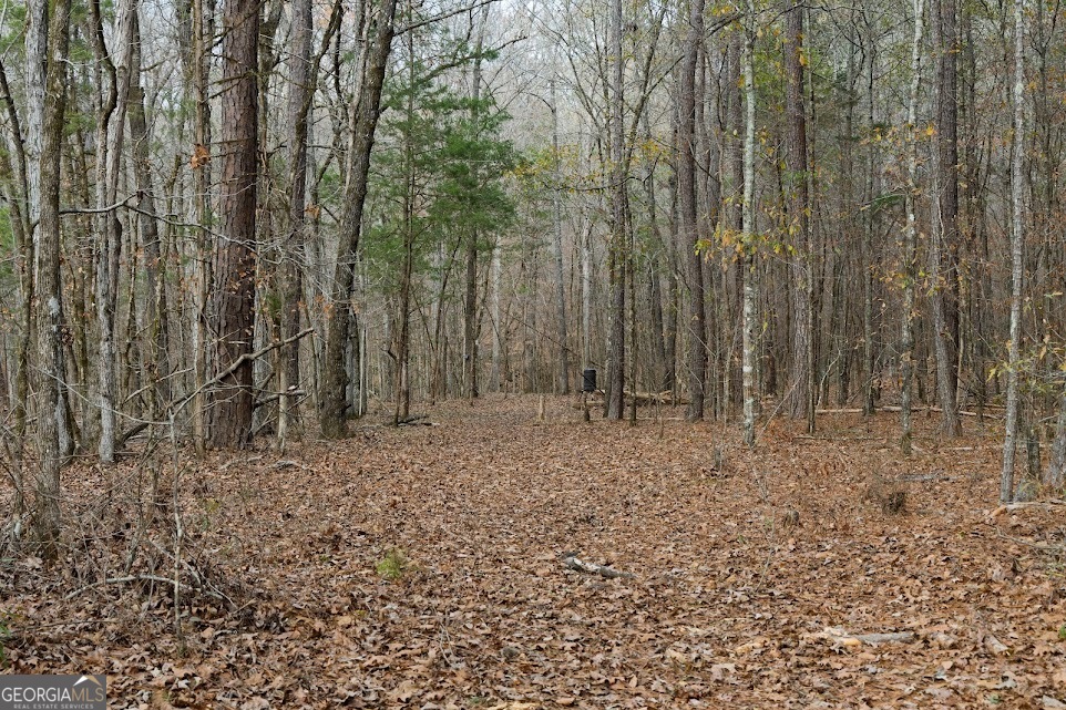 198-acres Dennis Creek Road Talbotton, GA 31827 - Photo 23 of 35 a view of a backyard