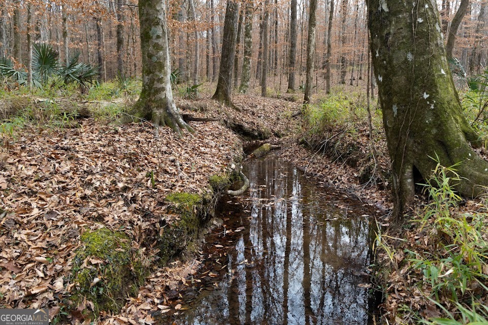 198-acres Dennis Creek Road Talbotton, GA 31827 - Photo 25 of 35 a view of a yard with plants and wooden fence