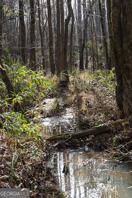 198-acres Dennis Creek Road Talbotton, GA 31827 - Photo 27 of 35 a view of outdoor space and a yard