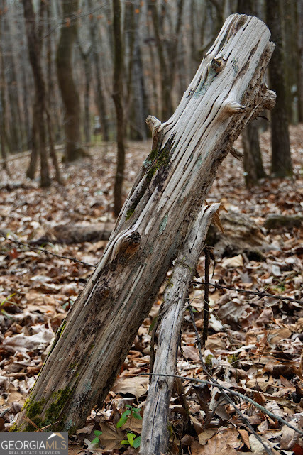 198-acres Dennis Creek Road Talbotton, GA 31827 - Photo 28 of 35 a view of a back yard of a building