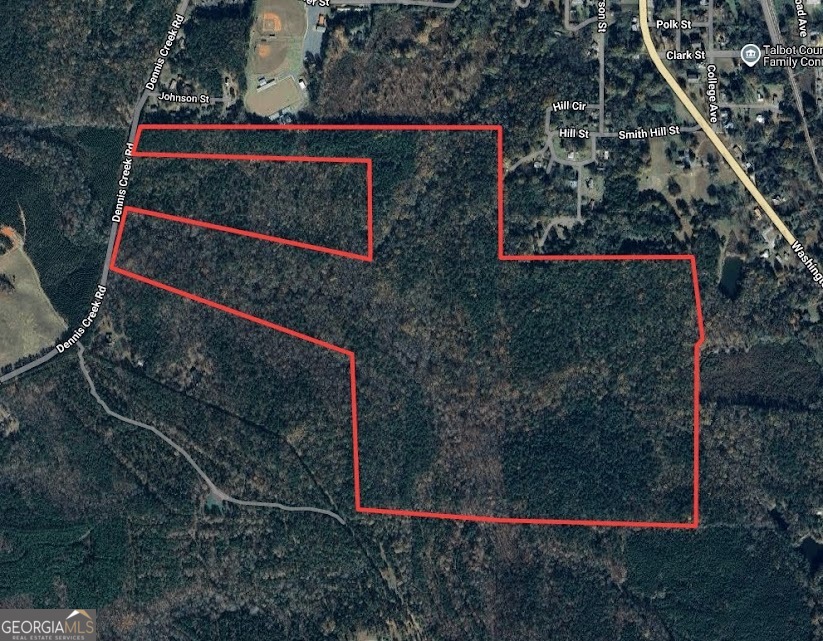 198-acres Dennis Creek Road Talbotton, GA 31827 - Photo 29 of 35
