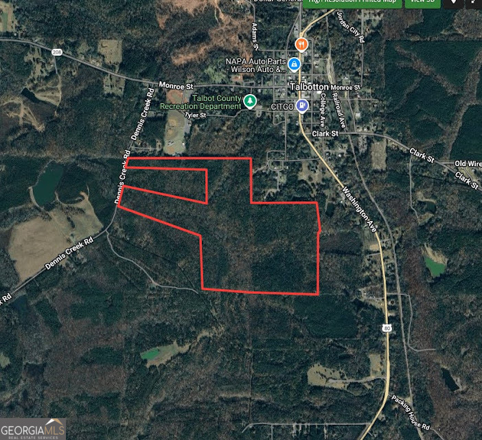 198-acres Dennis Creek Road Talbotton, GA 31827 - Photo 30 of 35 a bird view of house and yard