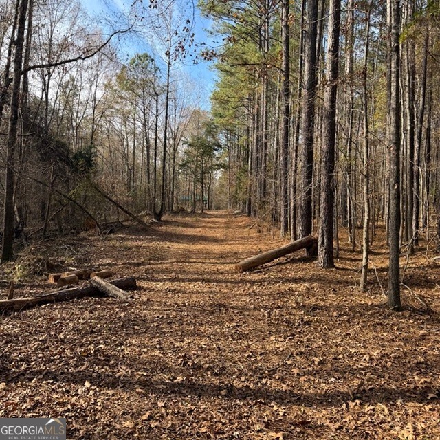 198-acres Dennis Creek Road Talbotton, GA 31827 - Photo 3 of 35 a view of a backyard of the house