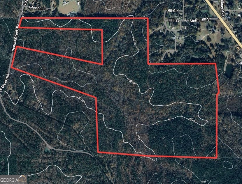 198-acres Dennis Creek Road Talbotton, GA 31827 - Photo 31 of 35