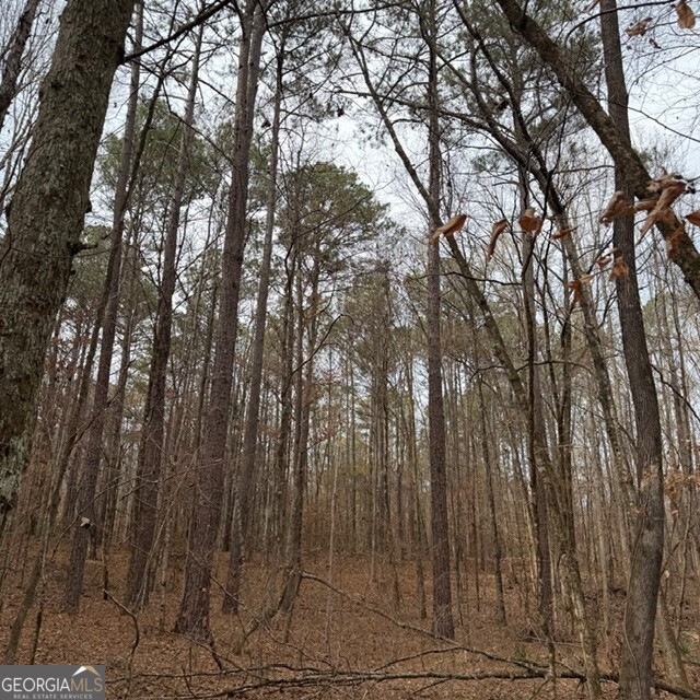 198-acres Dennis Creek Road Talbotton, GA 31827 - Photo 4 of 35 a view of forest