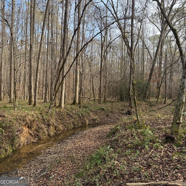198-acres Dennis Creek Road Talbotton, GA 31827 - Photo 10 of 35 a view of backyard with tree