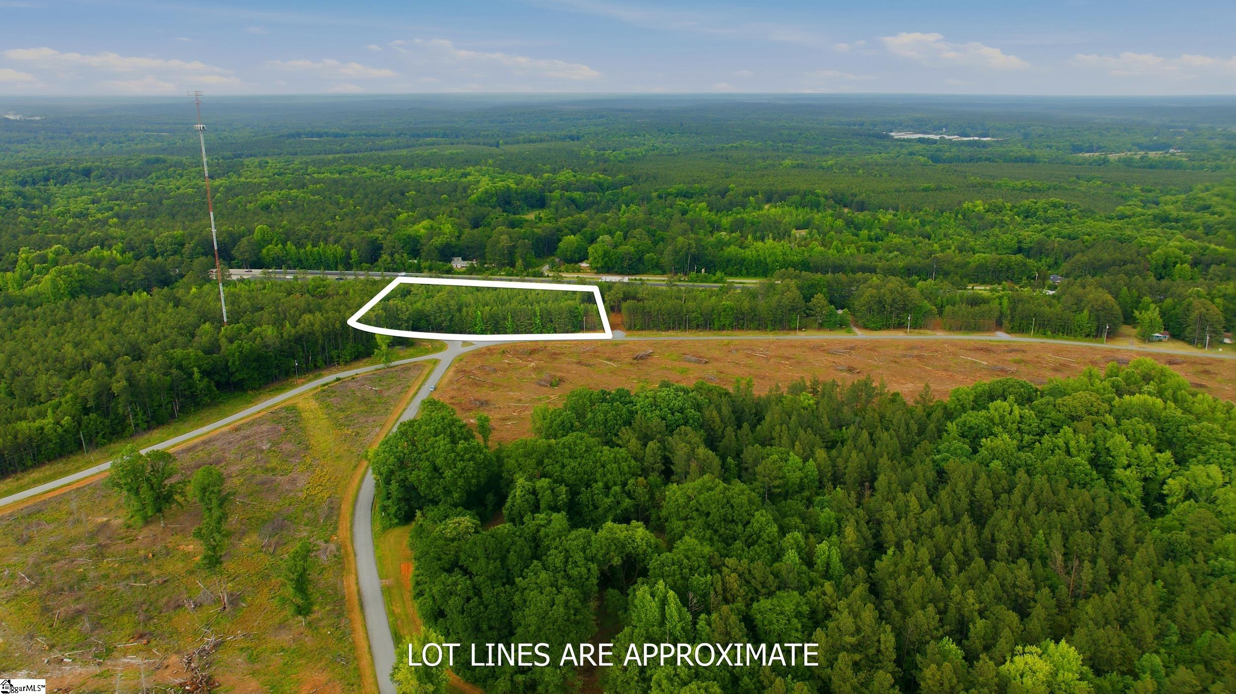 O Neighbors Road Clinton, SC 29325 - Photo 6 of 16