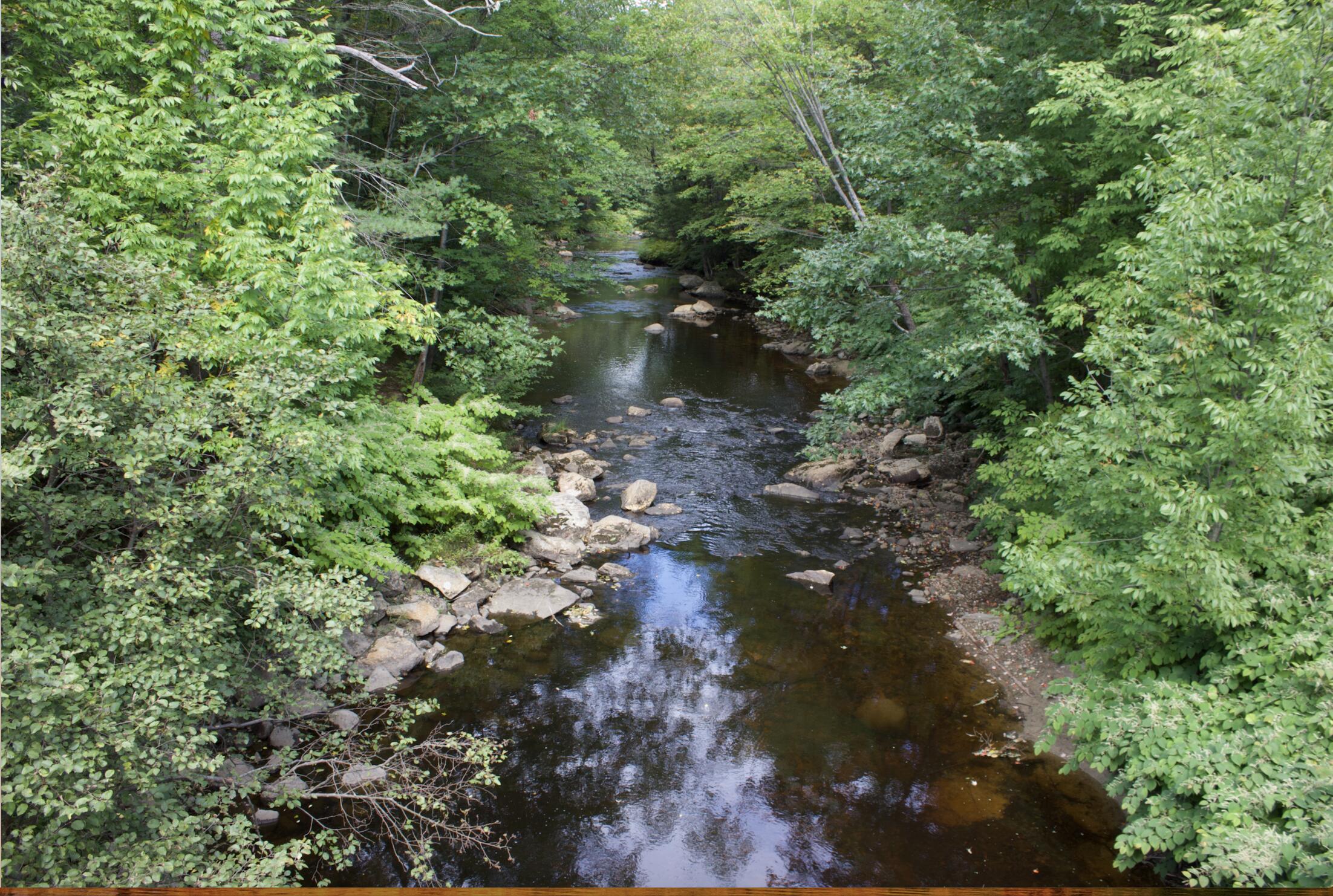 Screen Shot 2021-09-13 at 5.41.02 PM