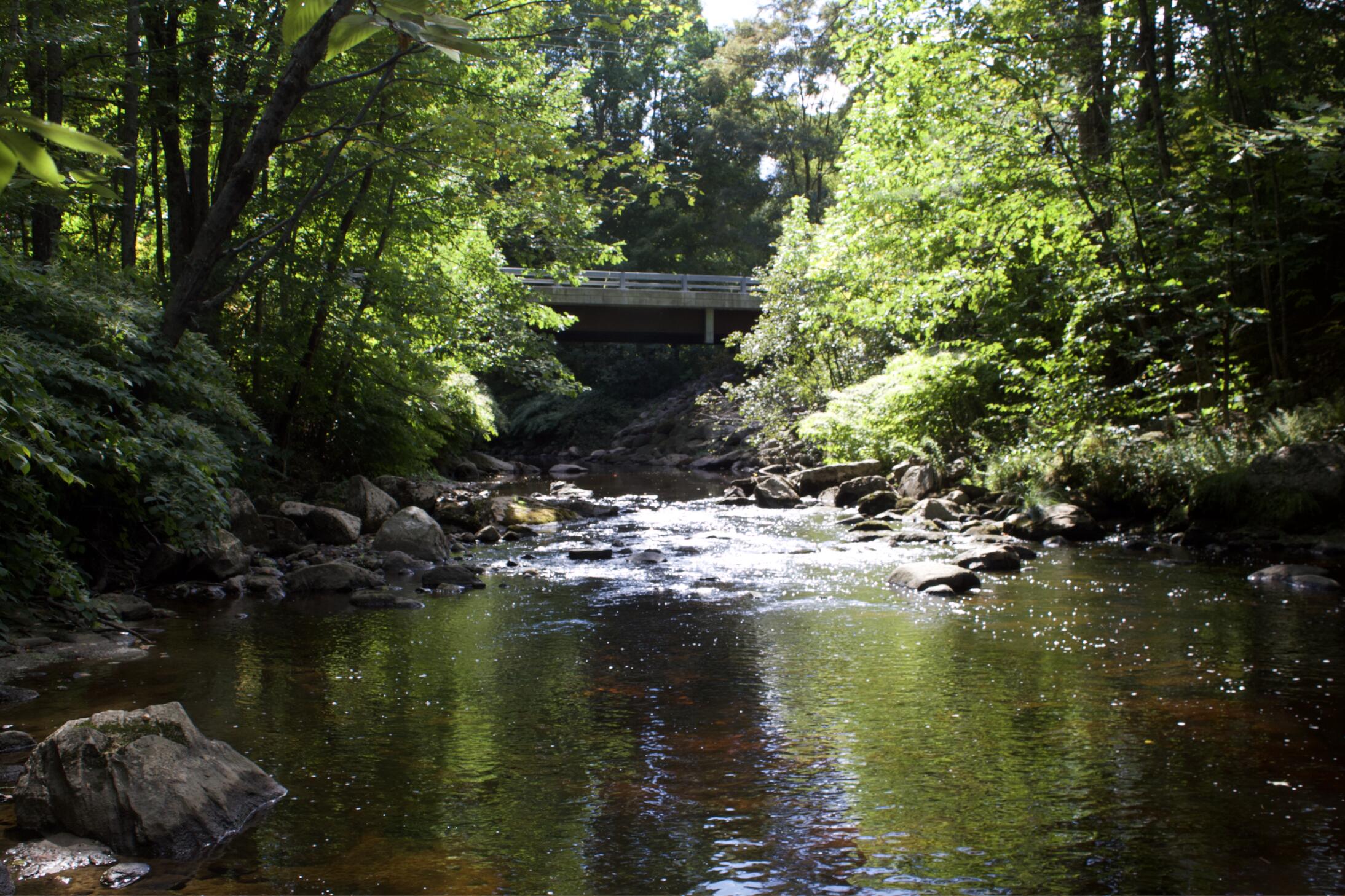 20 A Pleasant Street Peru, ME 04290 - Photo 2 of 14 Screen Shot 2021-09-13 at 5.41.21 PM