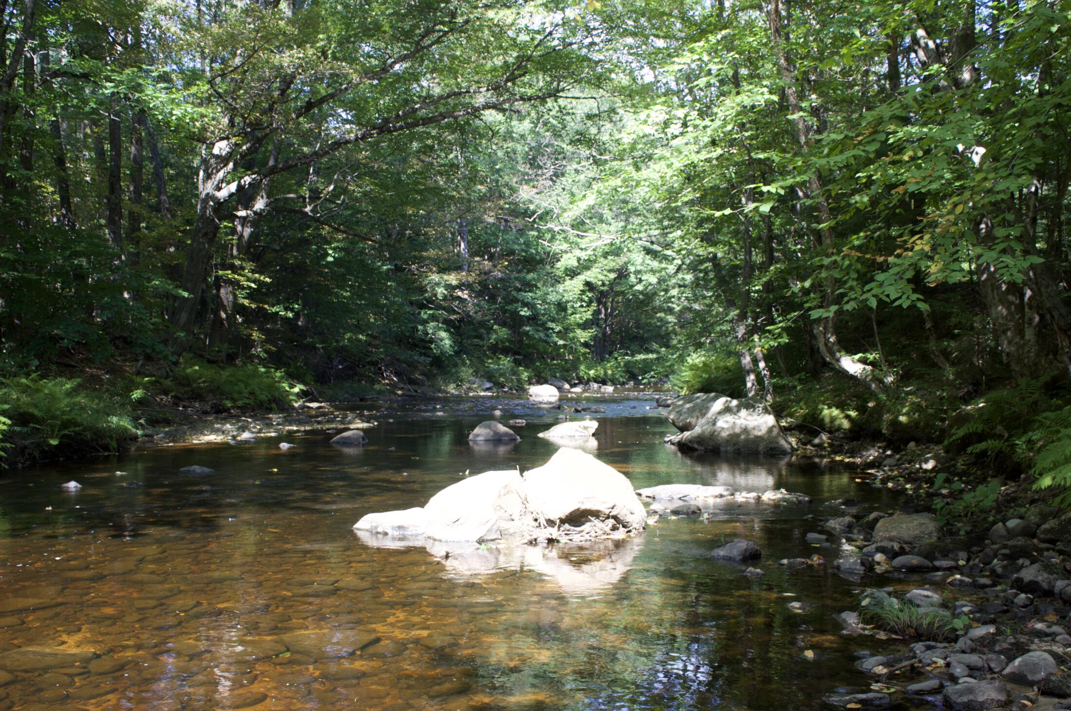 20 A Pleasant Street Peru, ME 04290 - Photo 3 of 14 Screen Shot 2021-09-13 at 5.41.33 PM