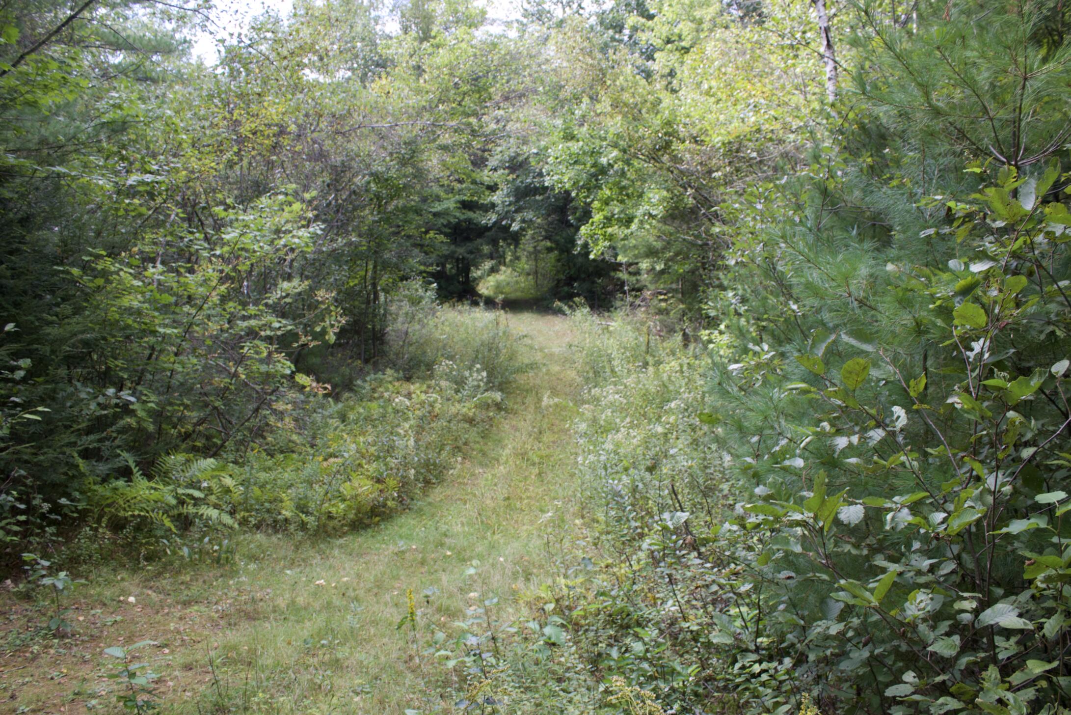 20 A Pleasant Street Peru, ME 04290 - Photo 4 of 14 Screen Shot 2021-09-13 at 5.42.27 PM