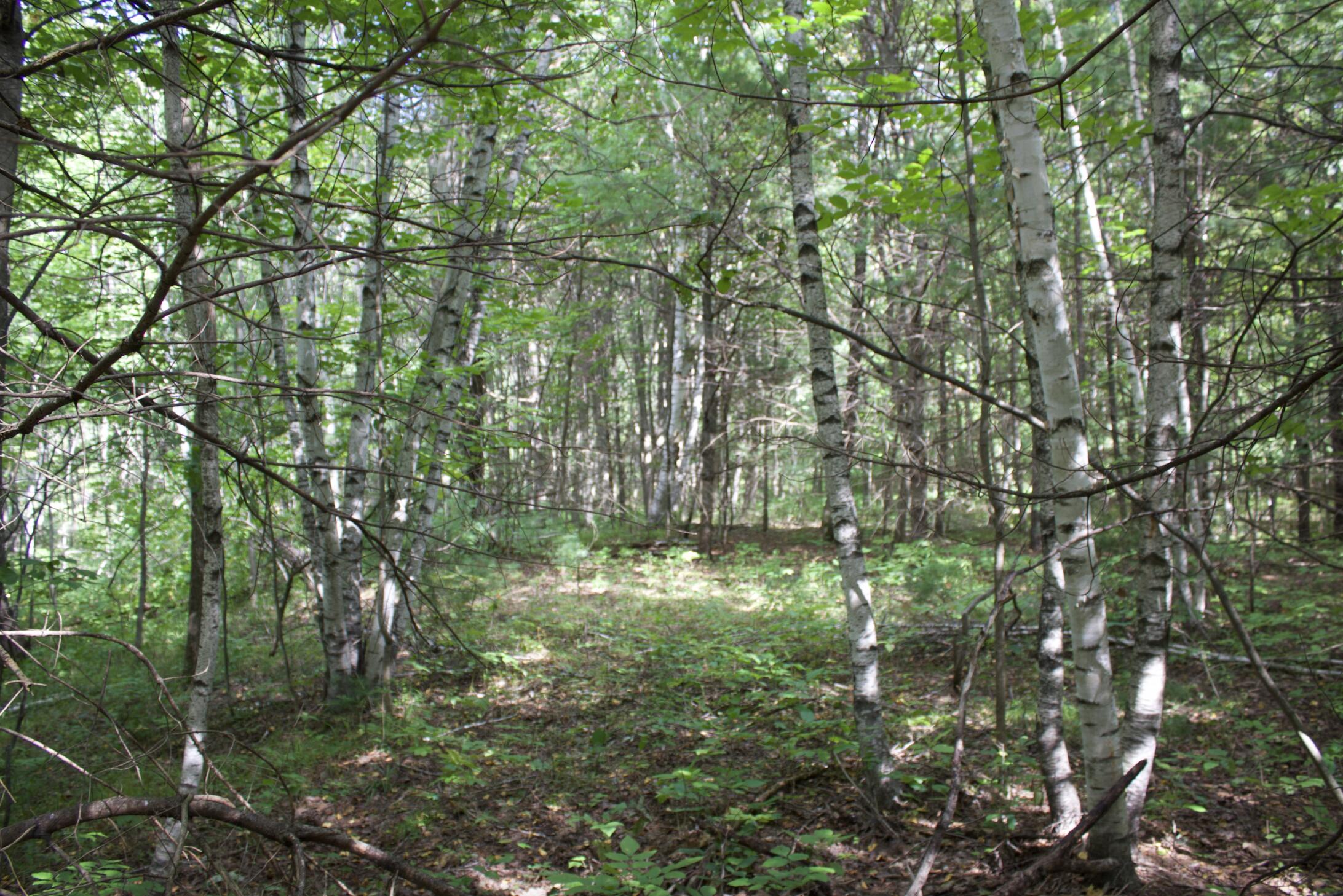 20 A Pleasant Street Peru, ME 04290 - Photo 5 of 14 Screen Shot 2021-09-13 at 5.42.36 PM