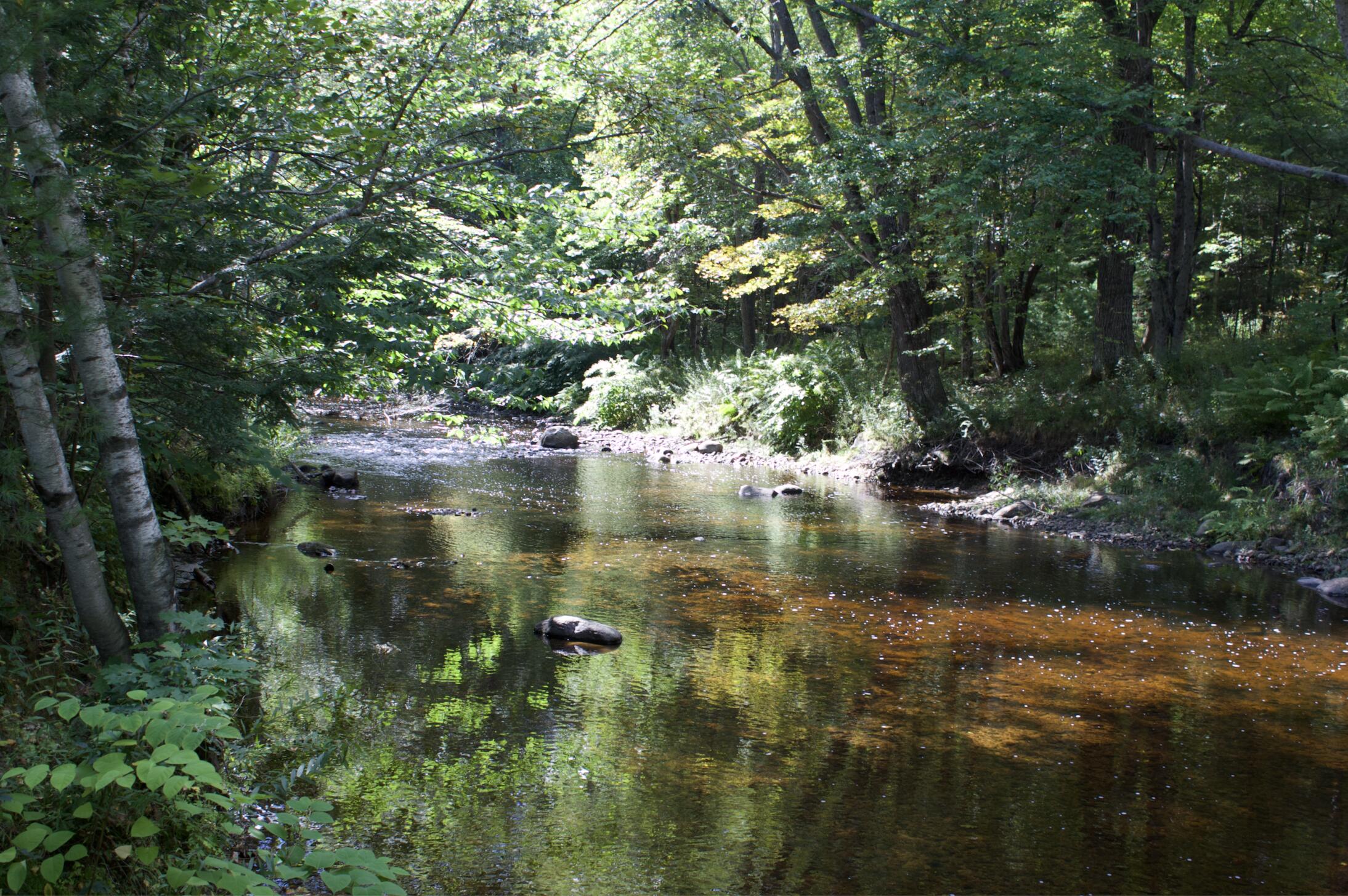 20 A Pleasant Street Peru, ME 04290 - Photo 6 of 14 Screen Shot 2021-09-13 at 5.42.01 PM