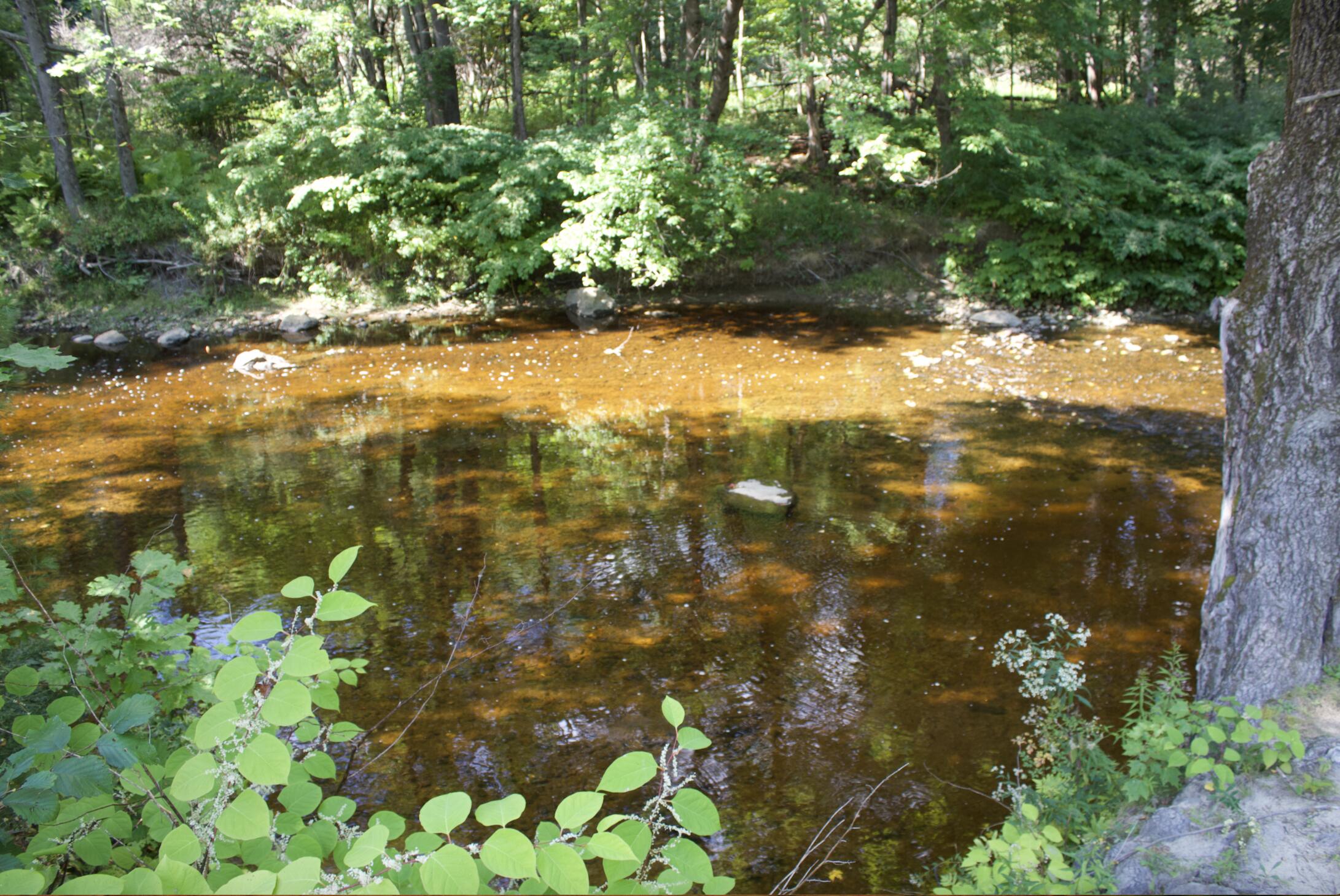 20 A Pleasant Street Peru, ME 04290 - Photo 9 of 14 Screen Shot 2021-09-13 at 5.41.41 PM