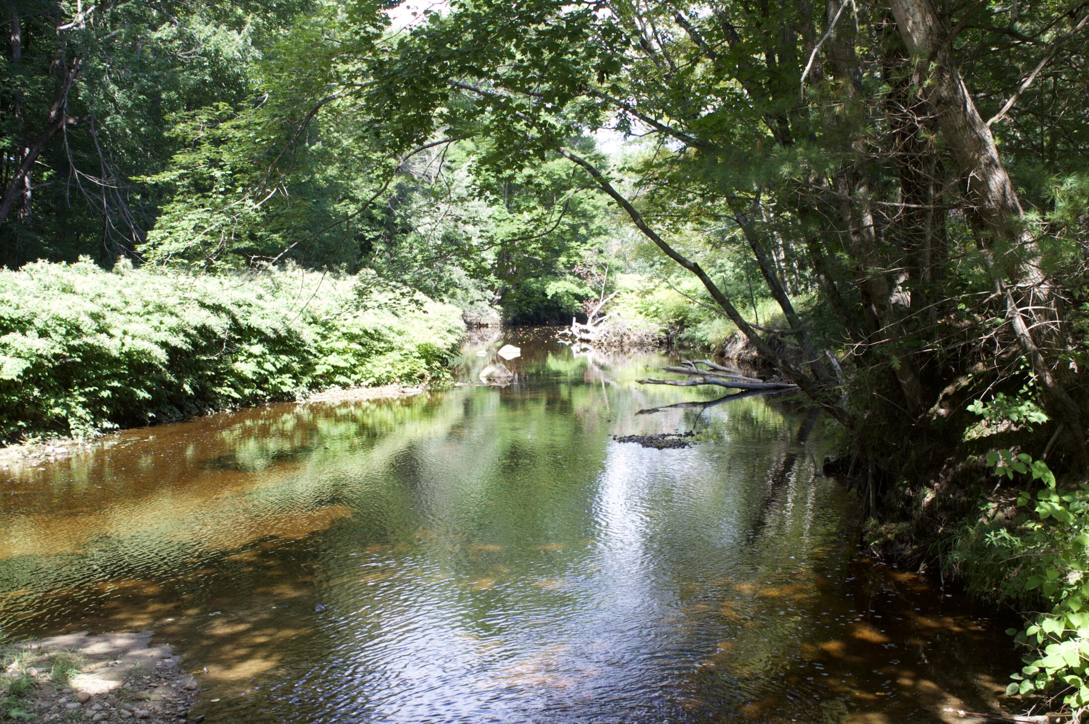 20 A Pleasant Street Peru, ME 04290 - Photo 10 of 14 Screen Shot 2021-09-13 at 5.41.52 PM