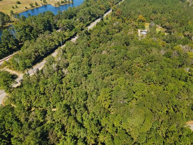 8715 Massey Lake Road Silsbee, TX 77656 - Photo 3 of 7