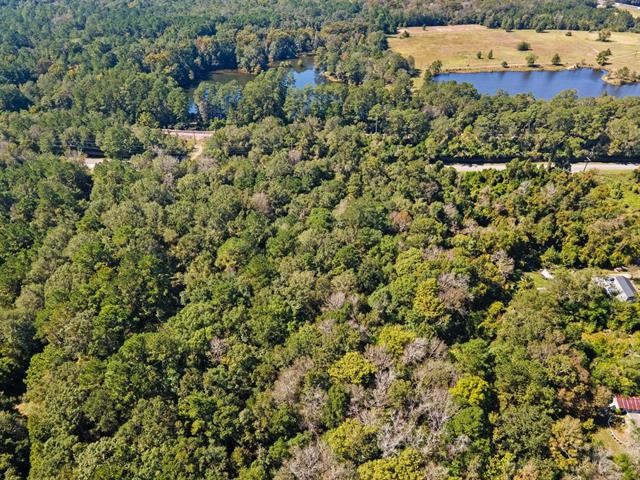 8715 Massey Lake Road Silsbee, TX 77656 - Photo 6 of 7