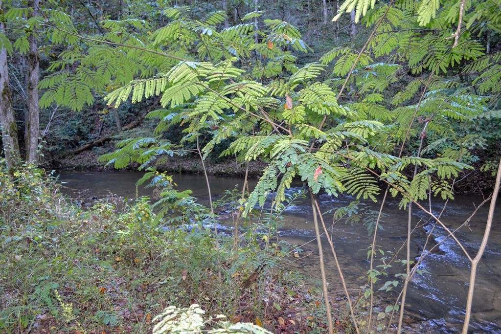 1902 Wears Valley Road Sevierville, TN 37862 - Photo 39 of 48 Gallery Image 39