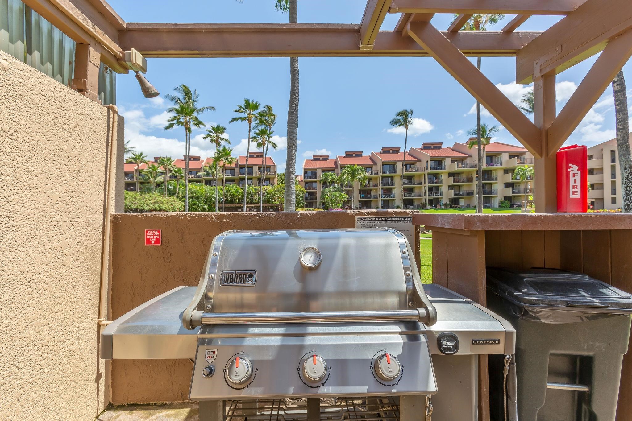 2695 South Kihei Road, Unit 4301 Kihei, HI 96753 - Photo 29 of 45