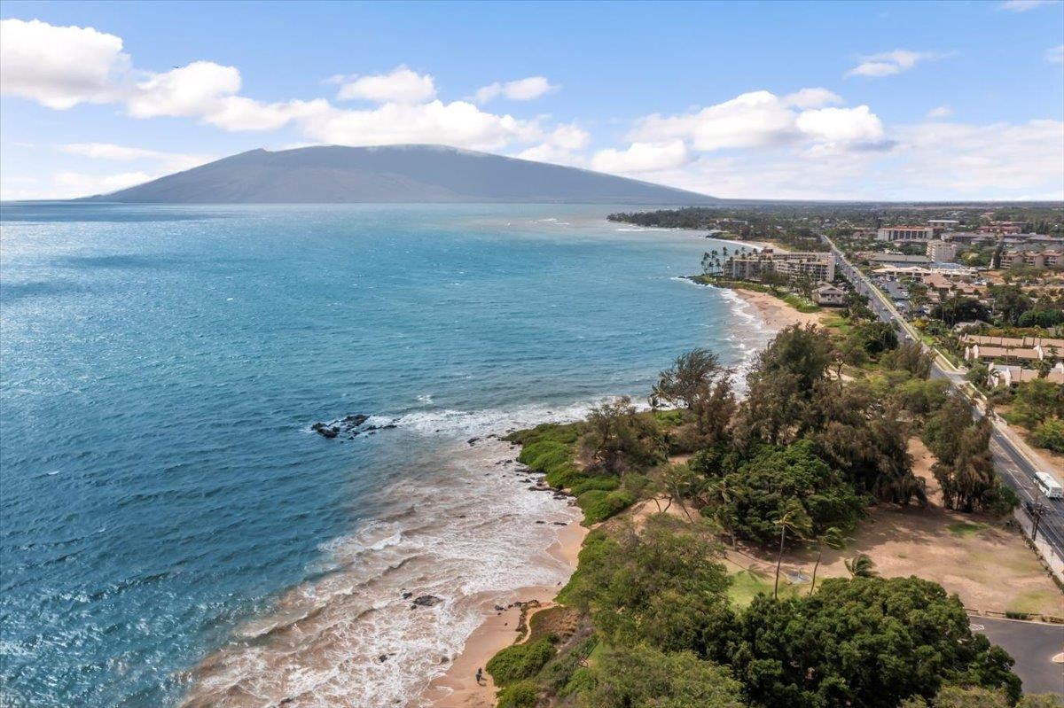 2695 South Kihei Road, Unit 4301 Kihei, HI 96753 - Photo 40 of 45 a view of a lake in middle of forest
