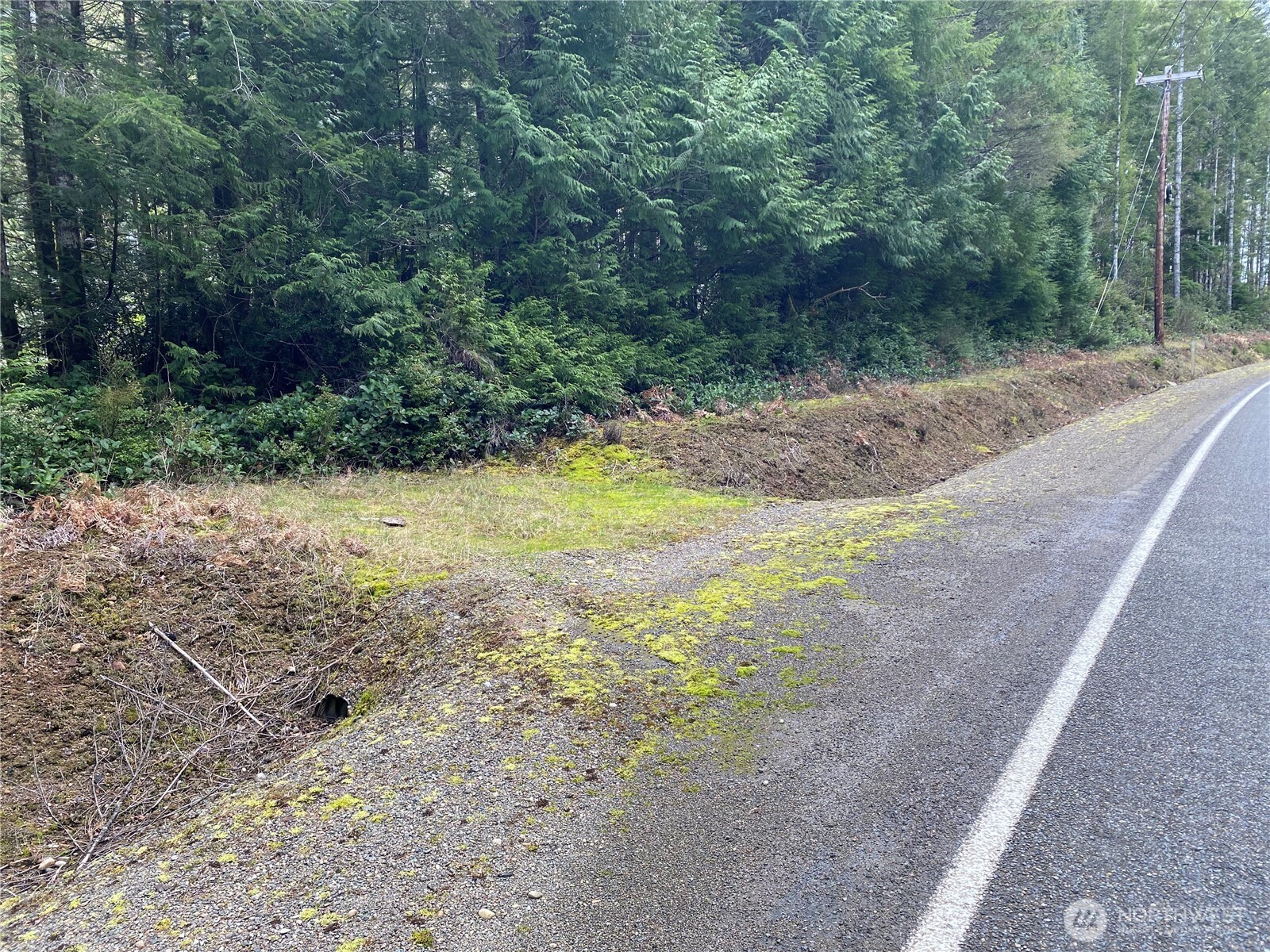 -tr4 East Mason Lake Road Grapeview, WA 98546 - Photo 9 of 10 Gallery Image 9