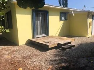 a view of a forest with trees