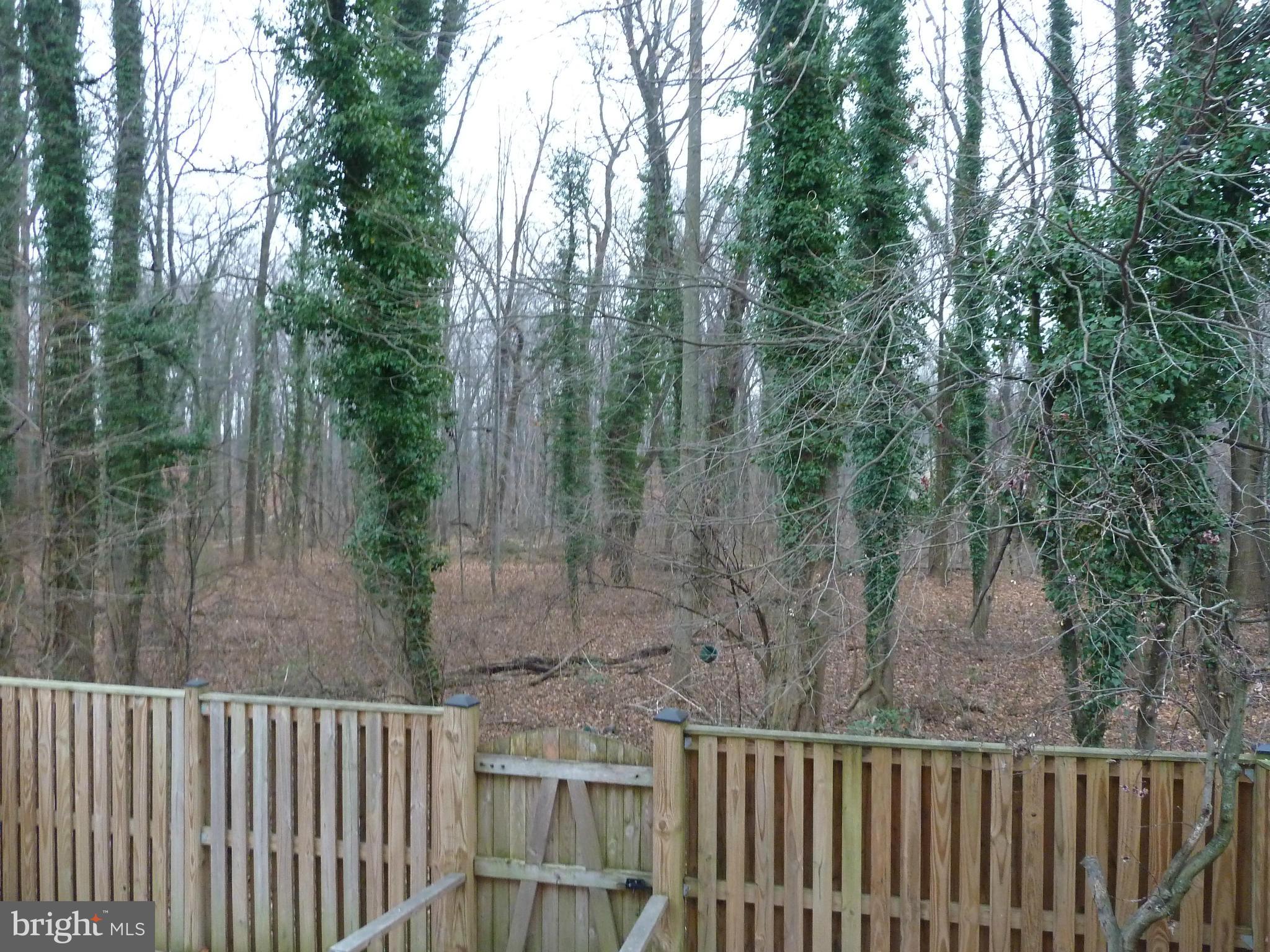 1016 Windrush Lane, Unit 25 Sandy Spring, MD 20860 - Photo 6 of 30 Fenced - A Private Heaven!