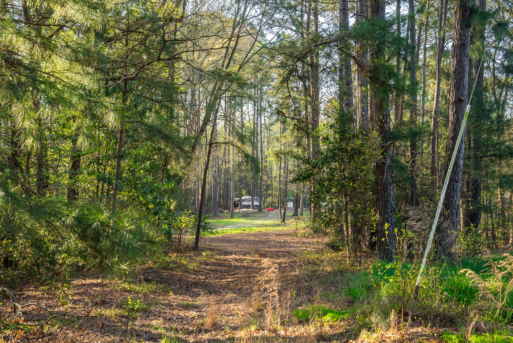 708 New Bridge Road Aiken, SC 29805 - Photo 50 of 55 Gallery Image 50