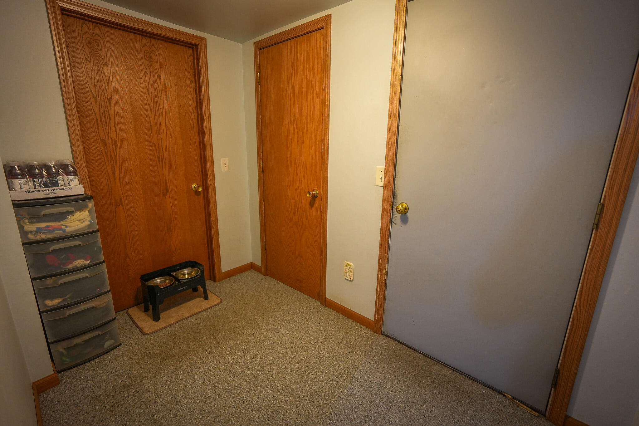 9339 Maple Hill Road Howard City, MI 49329 - Photo 18 of 42 DSC00566