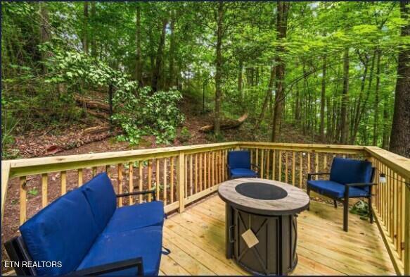 4151 Oak Ridge Street Pigeon Forge, TN 37863 - Photo 18 of 20 2