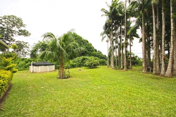 17-325 Volcano Road Kurtistown, HI 96760 - Photo 11 of 25 Gallery Image 11