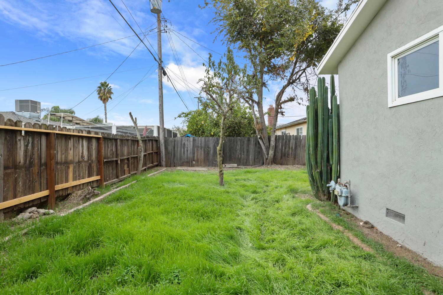 1636 South School Street Lodi, CA 95240 - Photo 32 of 33 a view of a backyard with wooden fence and a large tree