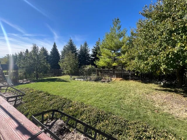 a view of a backyard