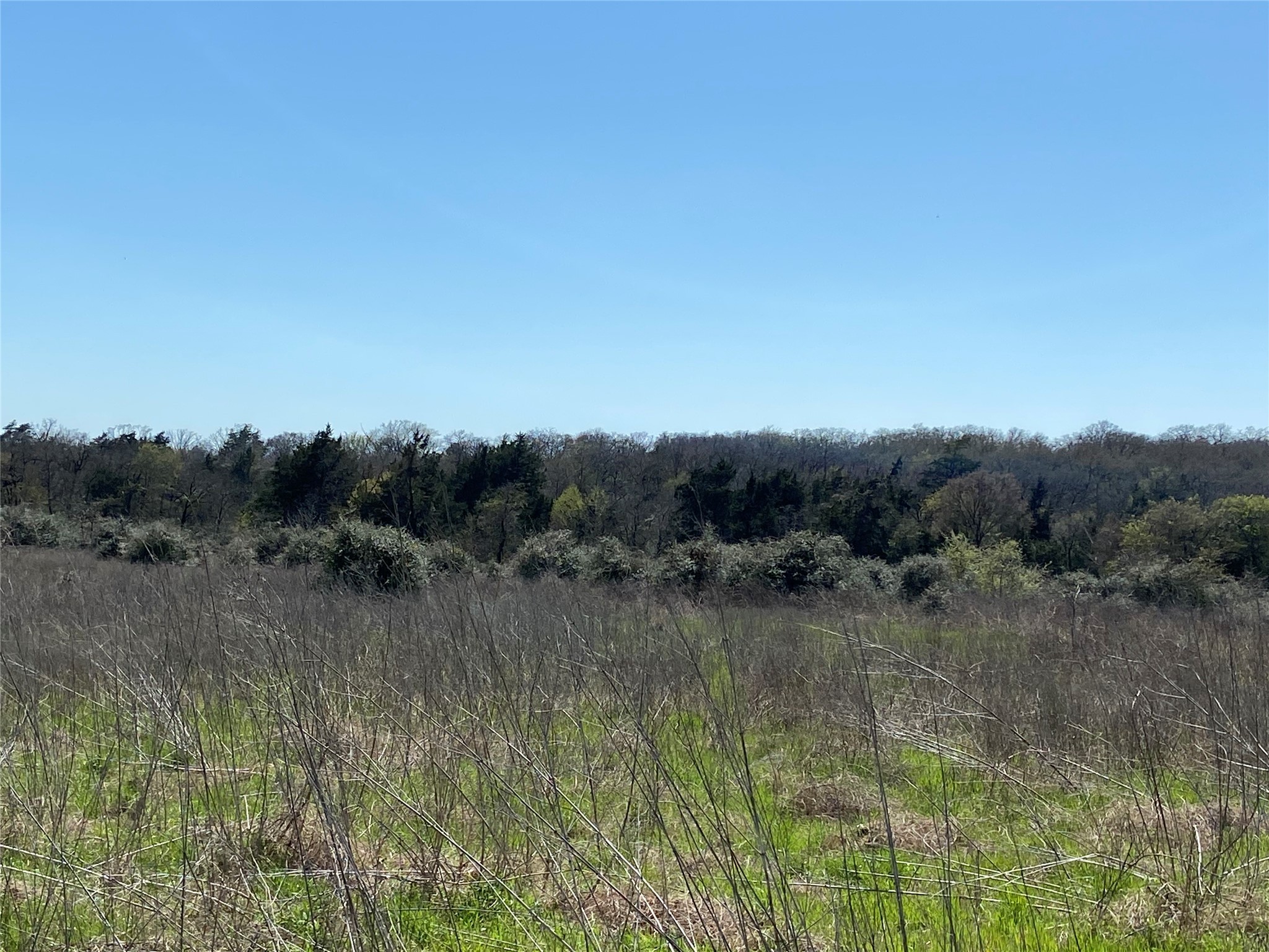 1111 Luu Road Calvert, TX 77837 - Photo 11 of 11 a view of river and outdoor space
