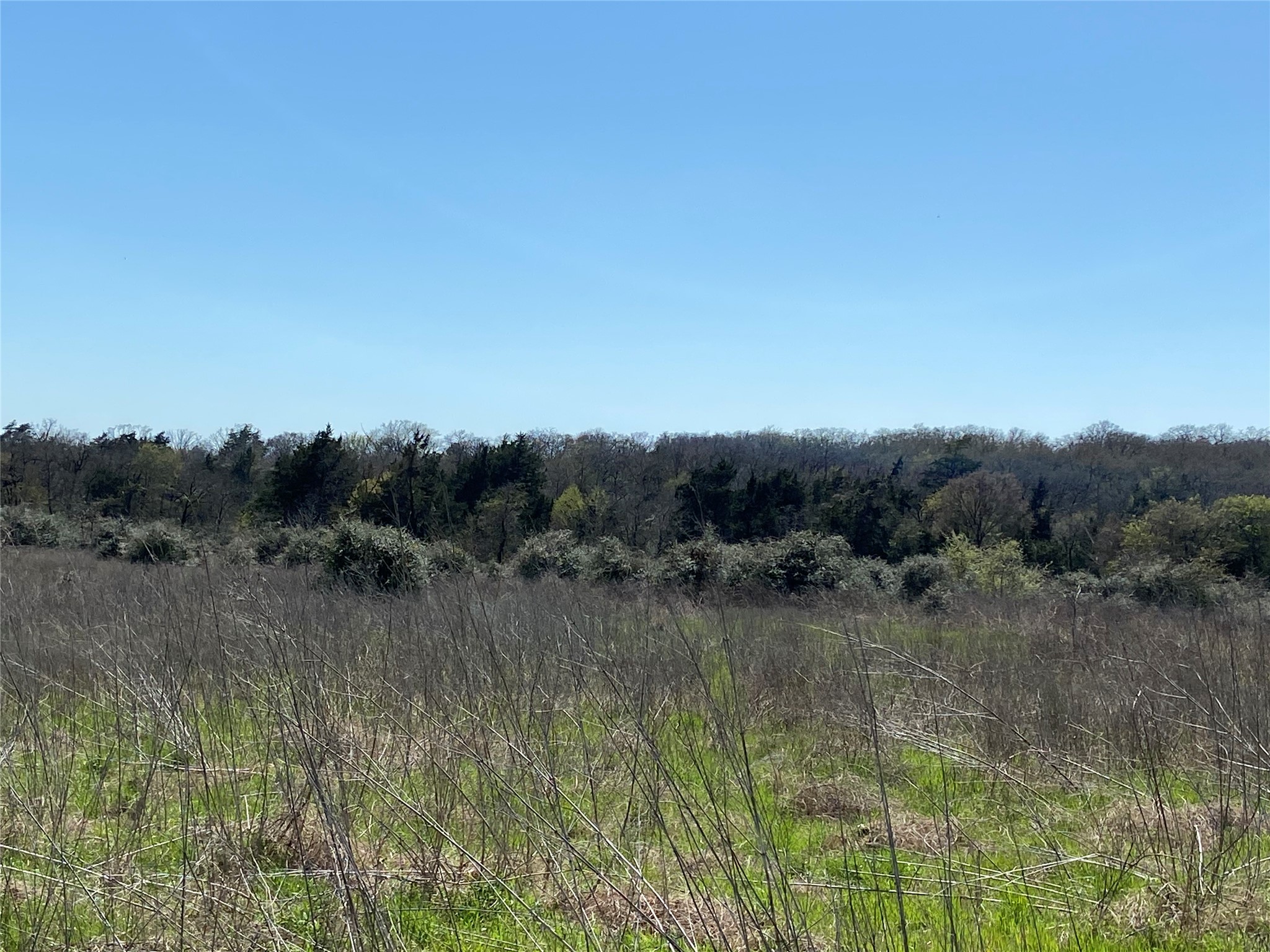 1111 Luu Road Calvert, TX 77837 - Photo 12 of 12