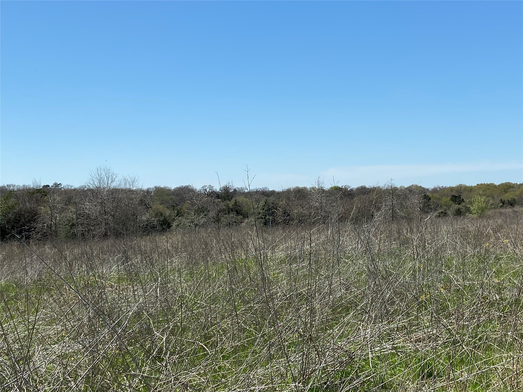 1111 Luu Road Calvert, TX 77837 - Photo 3 of 12