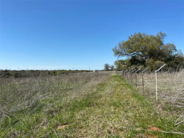 a view of a field with a tree in the background