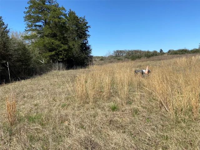 $213,800 | 1111 Luu Road, Calvert, TX 77837