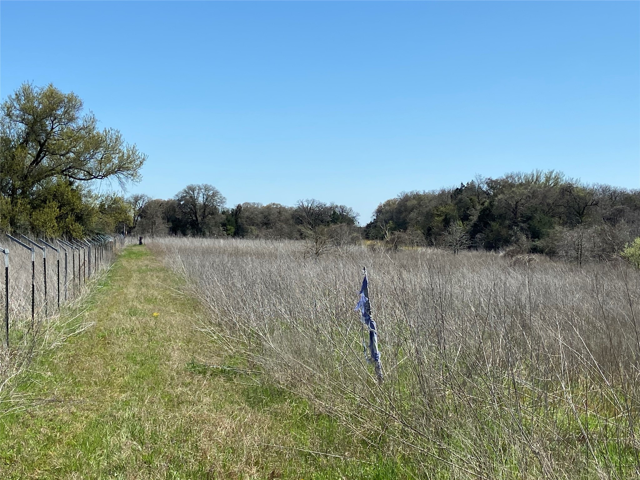 1111 Luu Road Calvert, TX 77837 - Photo 10 of 11 a view of a lake and green space