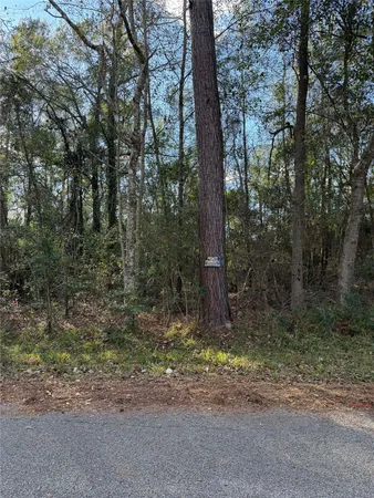 $35,000 | 15737 Aspen Drive, Montgomery, TX 77356