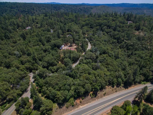 a view of a yard and car parked side of the road