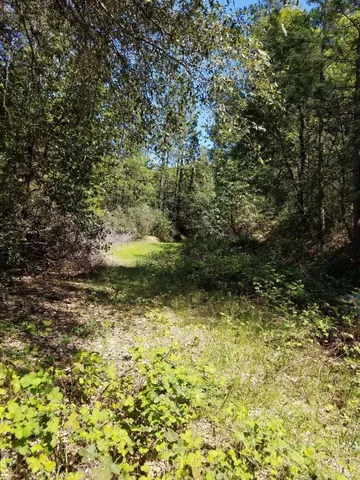 a view of swimming pool from balcony