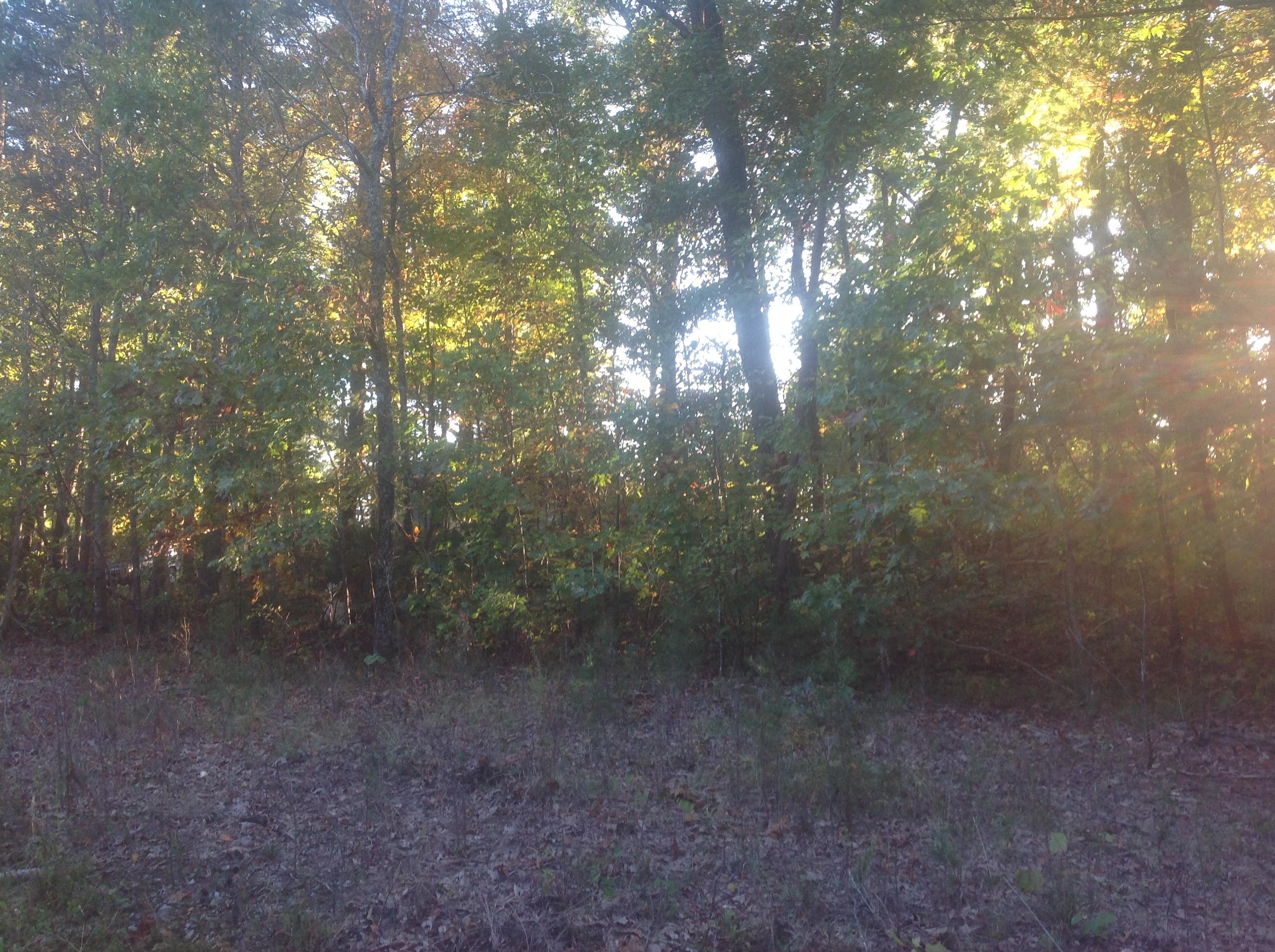 0 Blackburn Road, Unit 17 Pikeville, TN 37367 - Photo 3 of 9 2 LOT VIEW