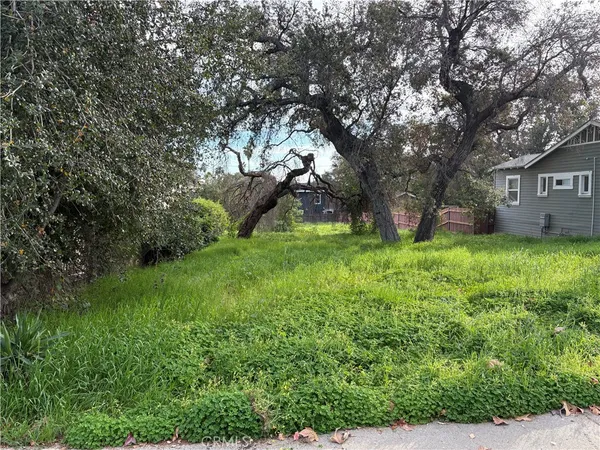 a view of a tree in front of a house